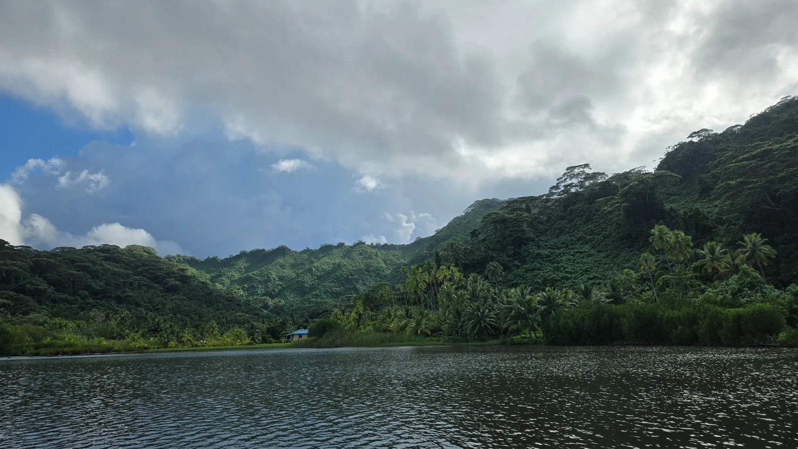 Baie bordée de montagnes et de cocotiers en Polynésie